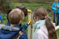 Kinder beschriften eine Kunststoffhülle zum Schutz von Elsbeerenpflanzen. (Foto: Gero Brehm)