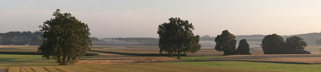 Landschaft mit Maibaum im Vordergrund