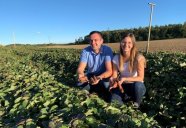 Ferdinand Wenig und Regina Wörle auf ihrem Süßkartoffelfeld