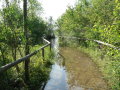 Überschwemmter Weg