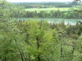 Blick über den frühlingshaften Leitenwald des Lechs auf denselben.