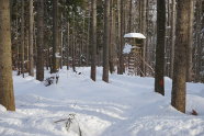 Hochsitz im verschneiten Winterwald