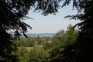 Blick aus dem Wald auf das Kloster Dießen