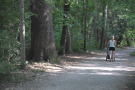Spaziergängerin mit Kinderwagen auf Waldweg