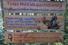 Informationstafel "Totes Holz ist qicklebendig."