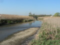 Naturnahes Fließgewässer mit typischer Ufervegetation