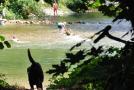 Badende suchen Erfrischung im Fluss.