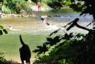 Badende suchen Erfrischung im Fluss.