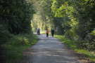 Spaziergänger auf Waldweg