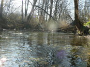 Kleines Fließgewässer mit naturnahen Gehölzen am Ufer.